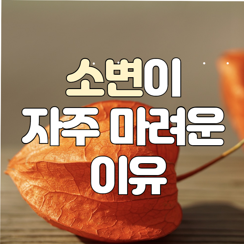  소변이 자주 마려운 이유는?