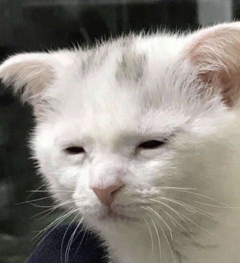 팁 나혼자tmi) 2021국가건강검진결과(대상자 주의사항) 10