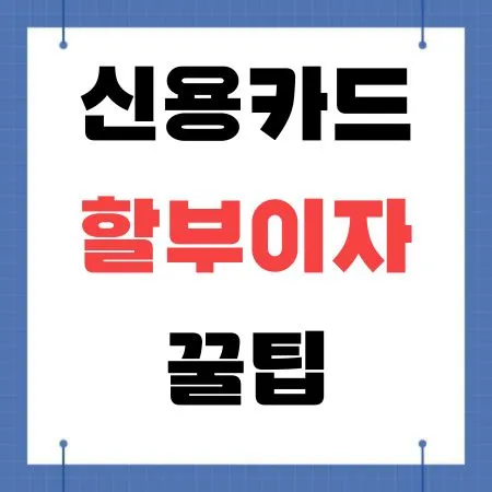 신용카드 할부이자 꿀팁