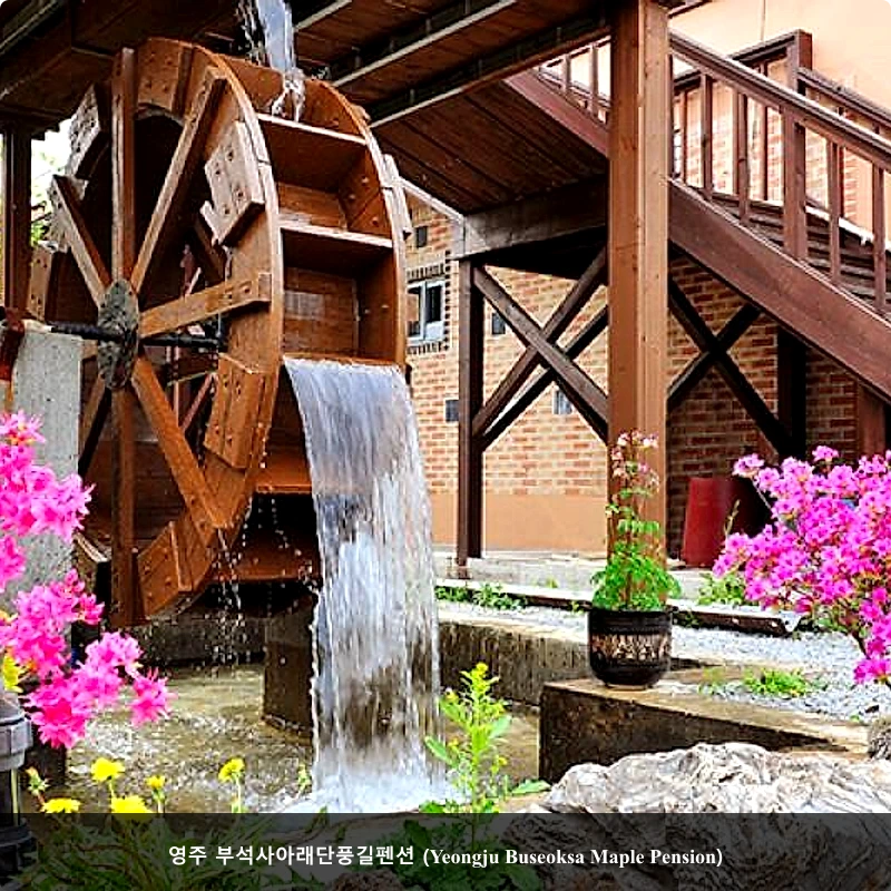 영주 부석사아래단풍길펜션 (Yeongju Buseoksa Maple Pension)_5
