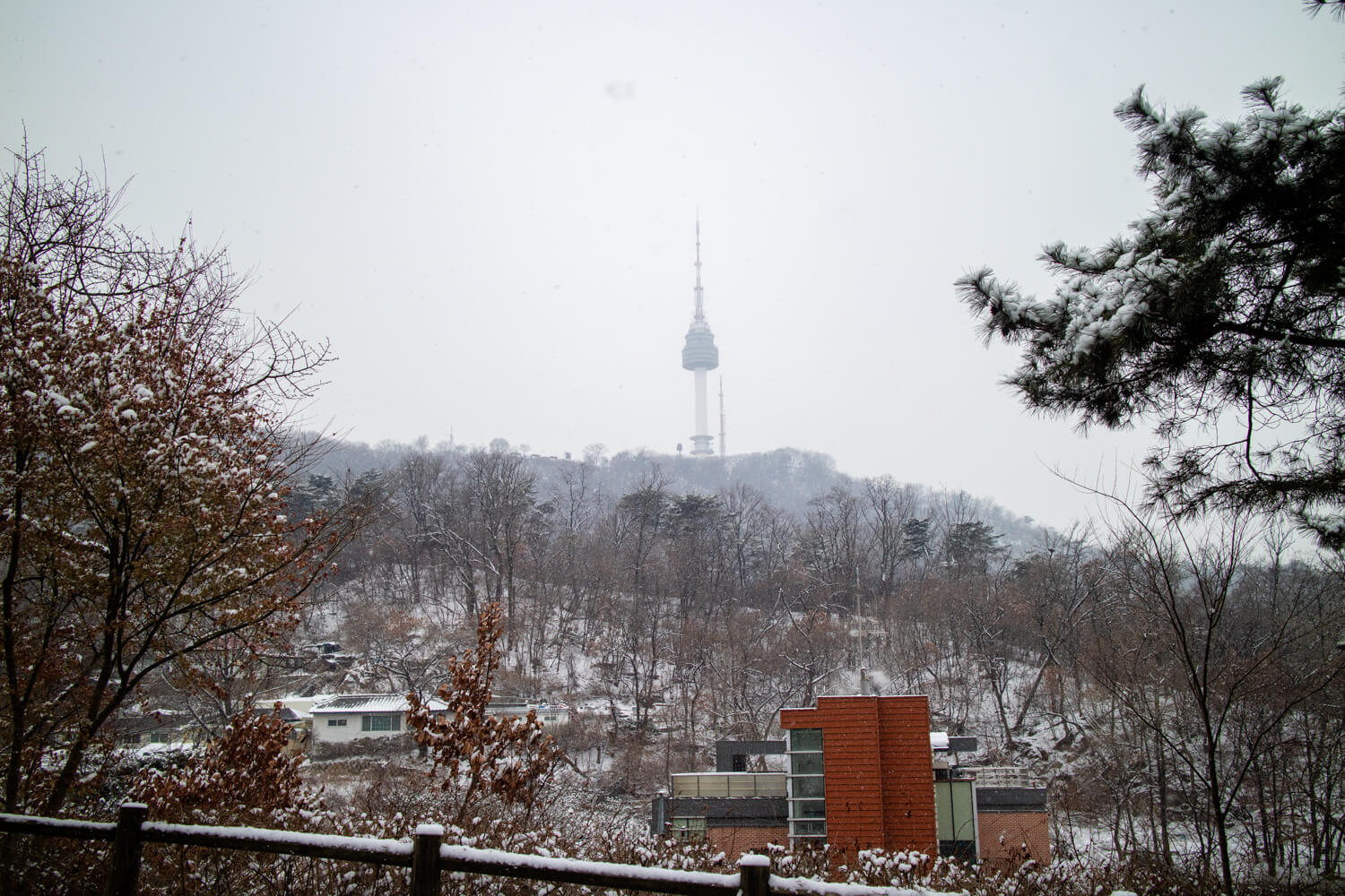 남산 둘레길 설경