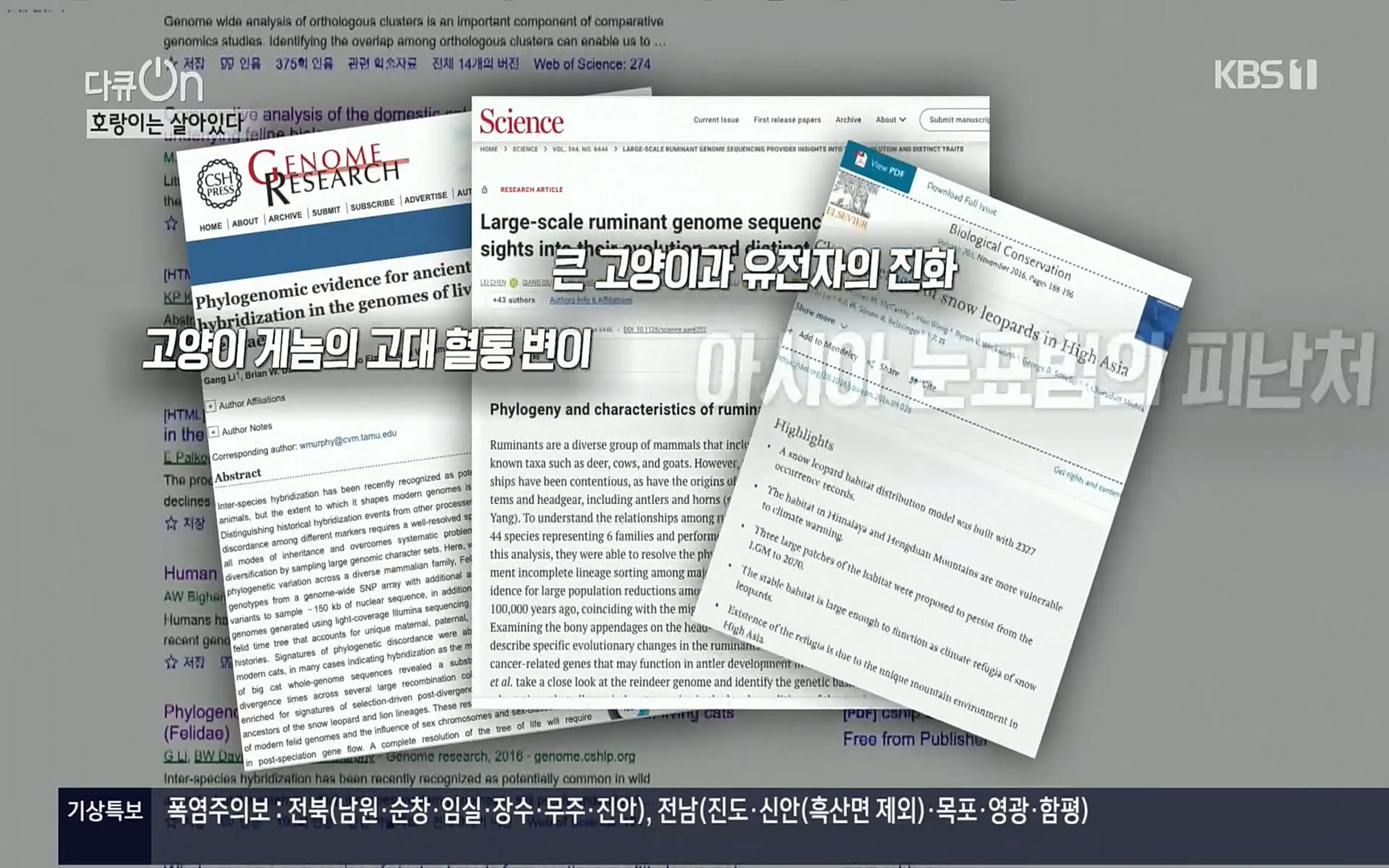 다큐 On.E150.220729p.H264-F1RST.mp4_20220730_164058.631.jpg