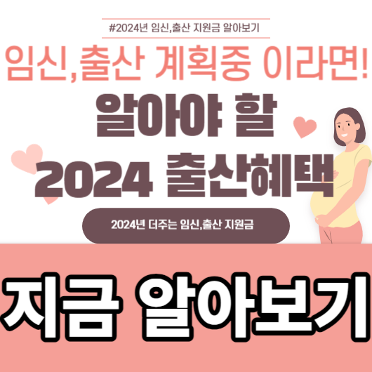  2024 출산혜택 임산부 교통비 지원 임산부 교통비 최대 70만원 받는 방법 !