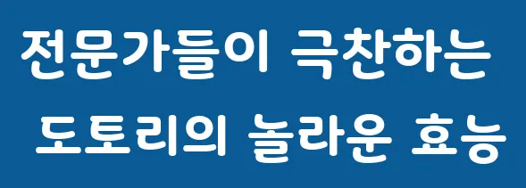 전문가들이 극찬하는 도토리의 놀라운 효능