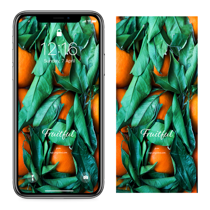 12 오렌지와 녹색 잎 C - Fruitful 아이폰주황색배경화면