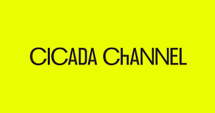 시카다(cicada) 이미지