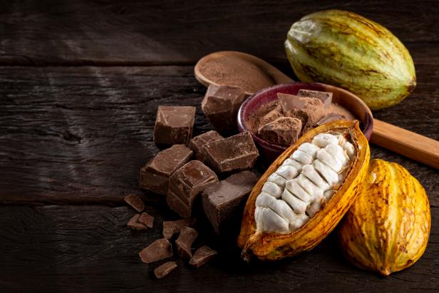카카오 cacao 코코아 cocoa 가격상승