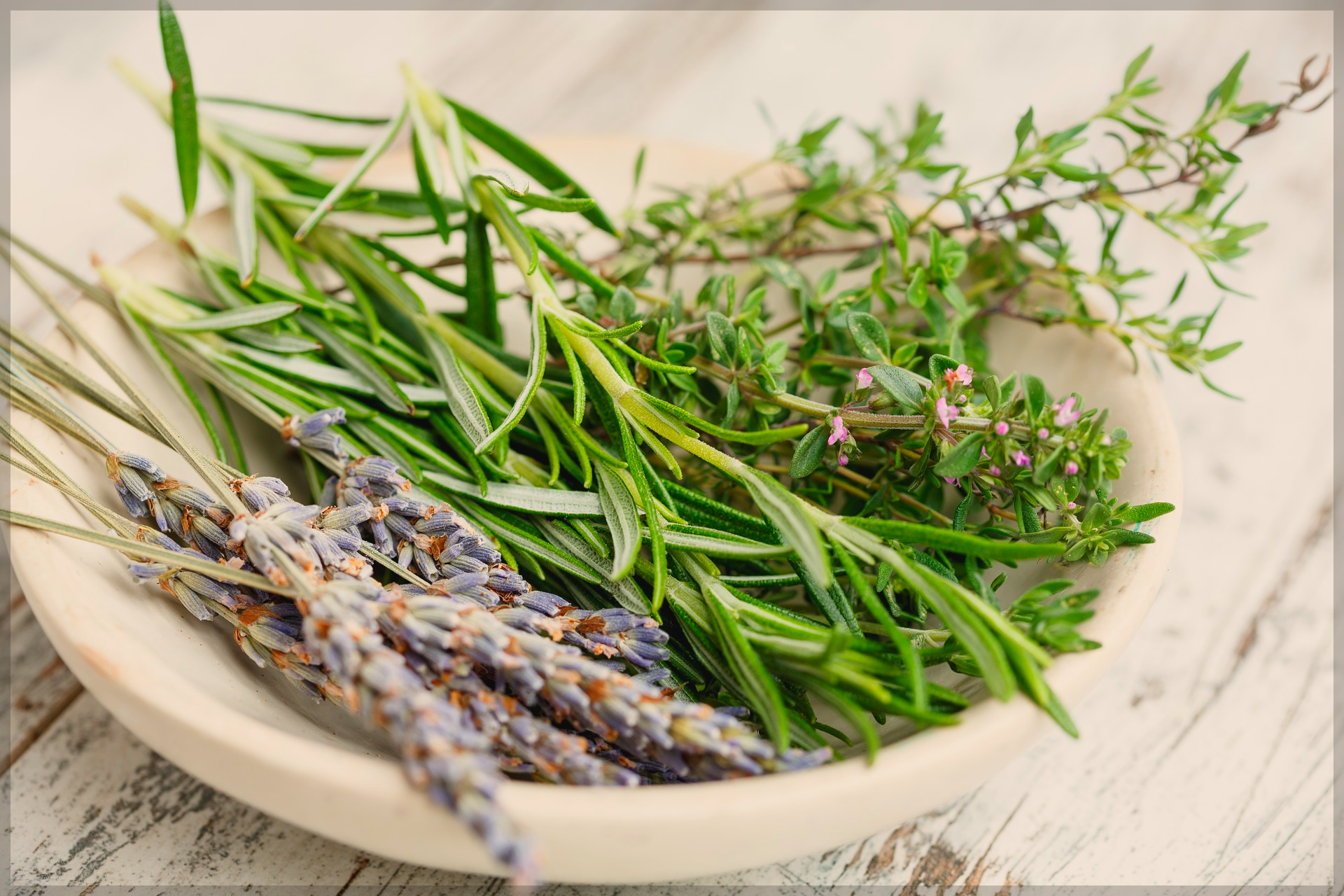  허브 아로마(Herbal Aromas Oil) 오일의 경이로움 탐구