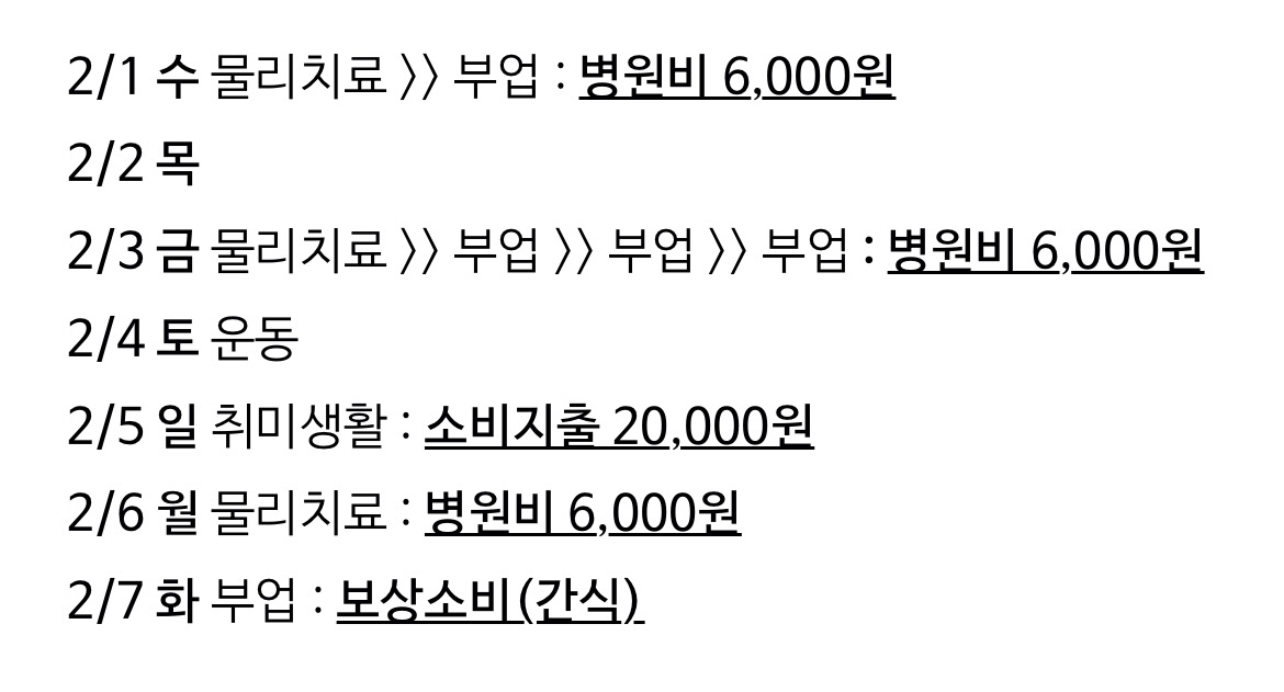 2월-첫째주-지출계획