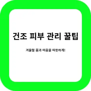 건조 피부 관리 팁 썸네일