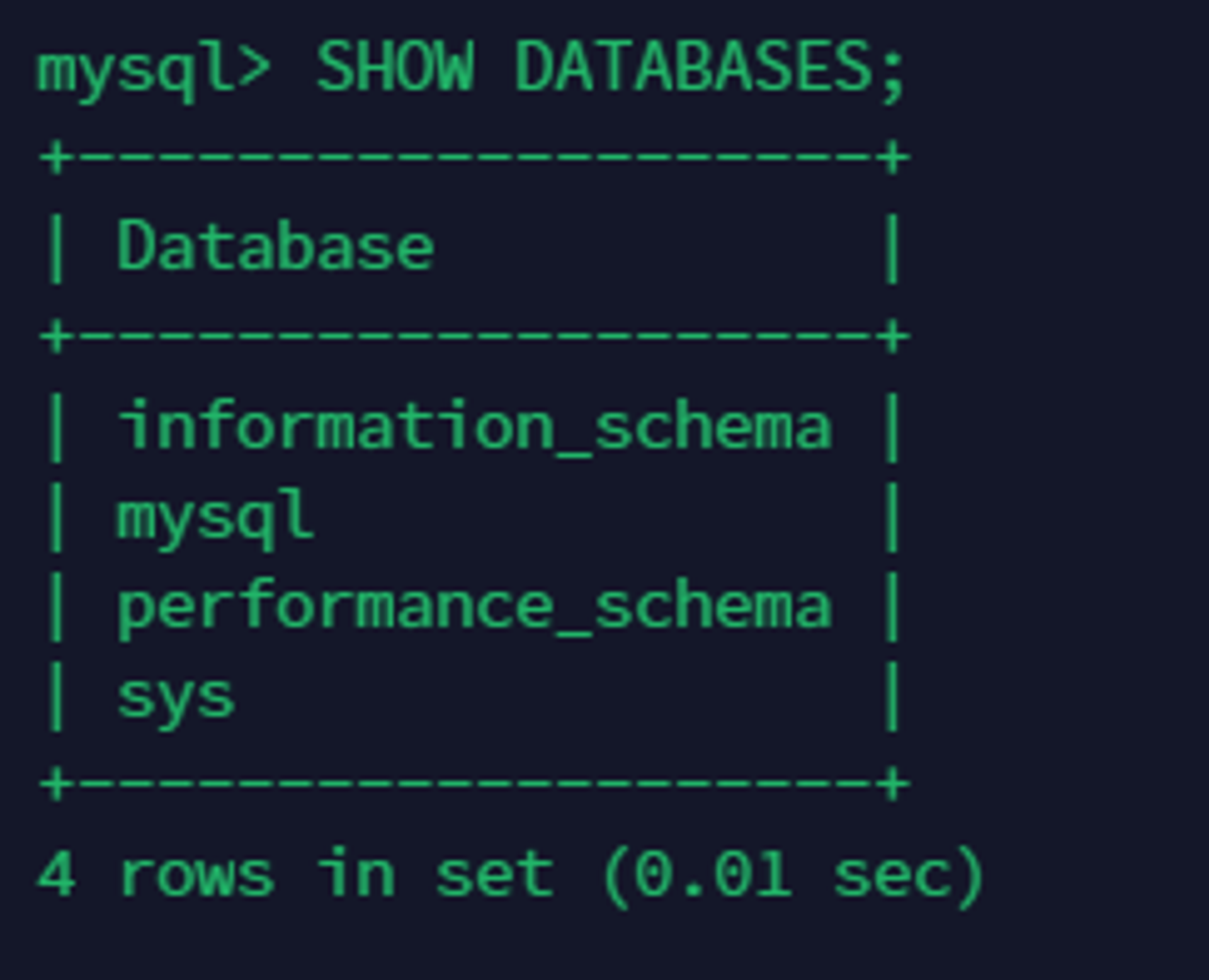 show databases;