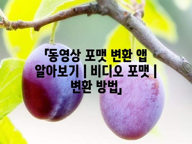 랜덤185