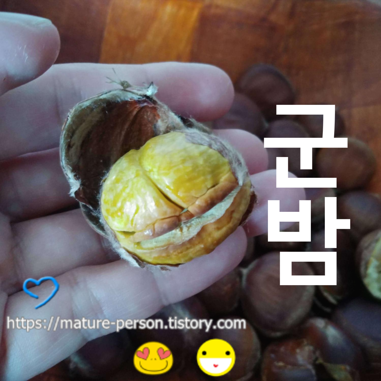  에어프라이어로 군밤만들기