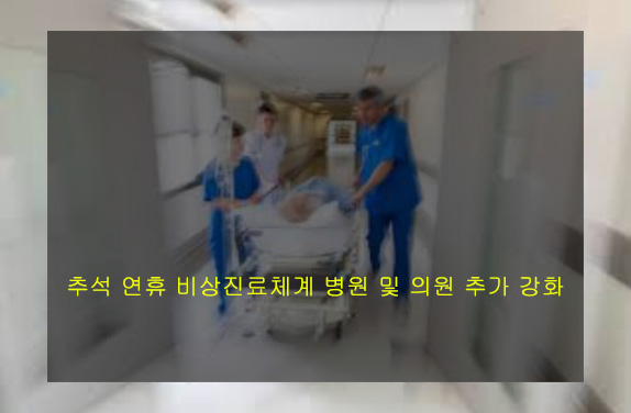 추석 연휴 비상진료체계 병원 및 의원 추가 강화