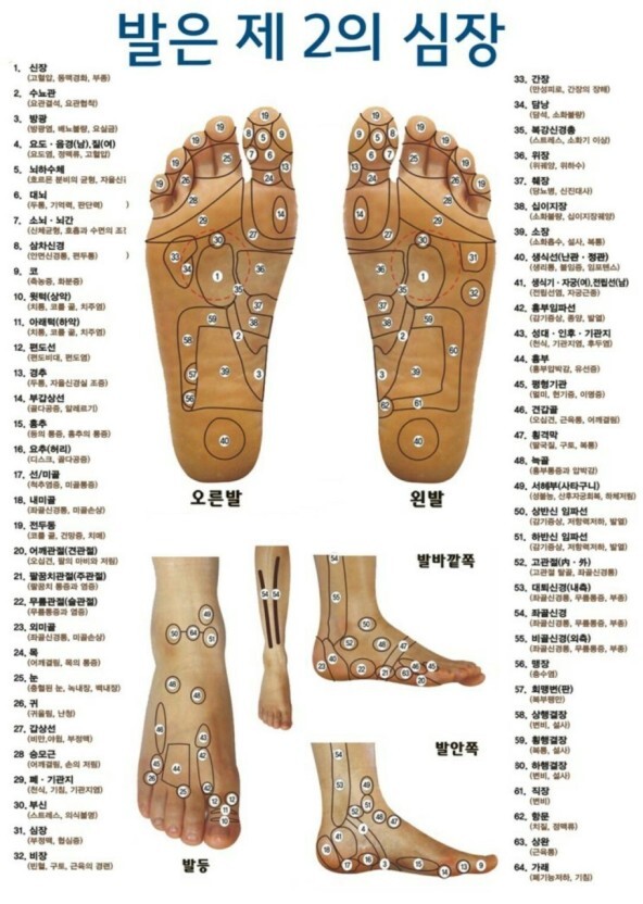  발 반사구 위치 / 발 굳은살로 보는 발 건강