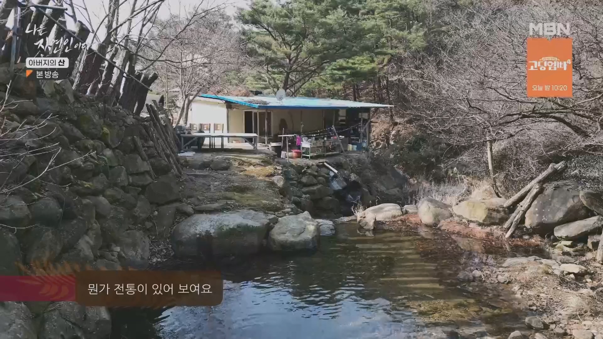 나는 자연인이다.E595.240228p.H264-F1RST.mp4_20240229_200113.123.jpg