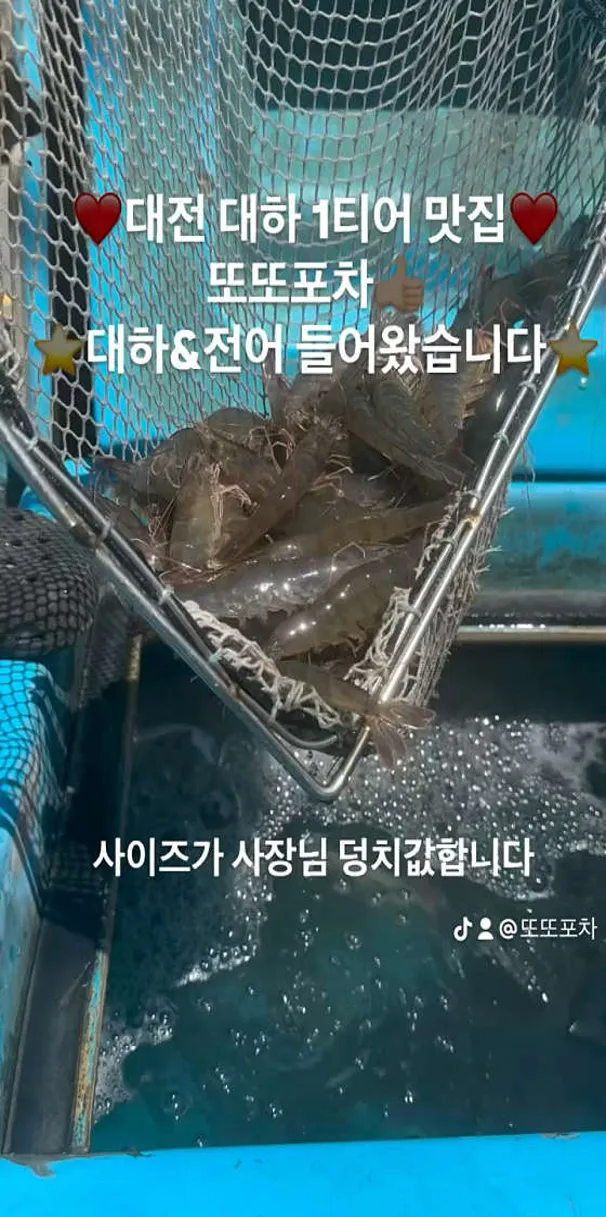 또또포차