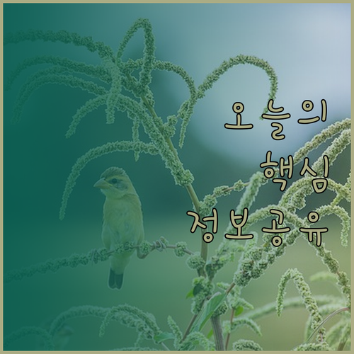 공항 근처 밴쿠버 호텔 탐험! 놓치면