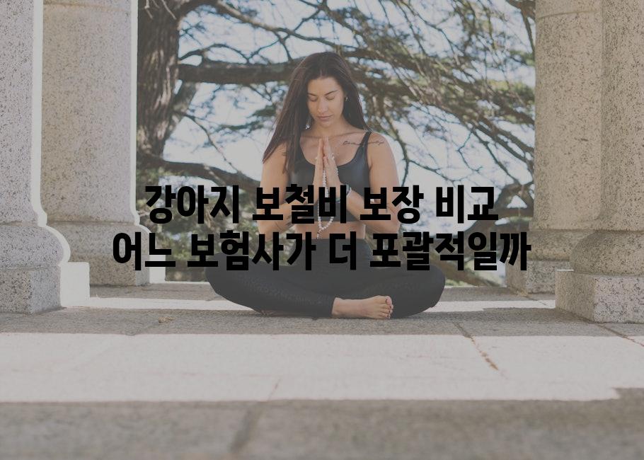 강아지 보철비 보장 비교 어느 보험사가 더 포괄적일까