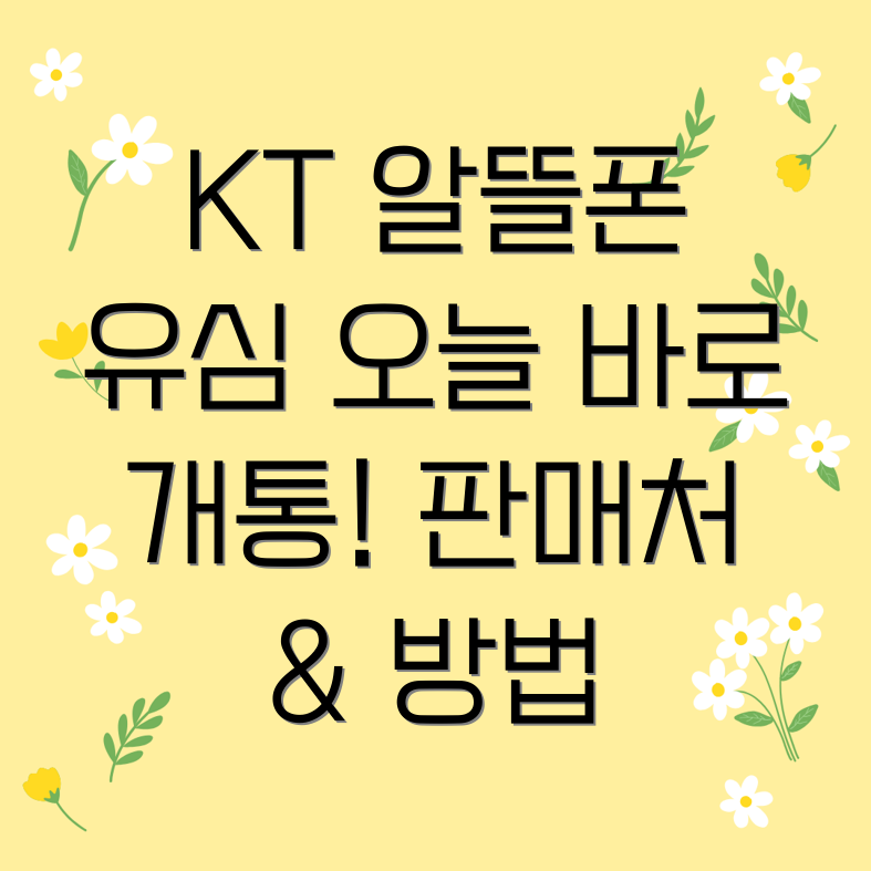 KT 알뜰폰 유심칩