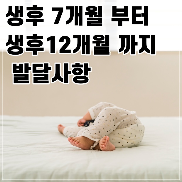  생후 7개월 부터 12개월 까지 발달사항