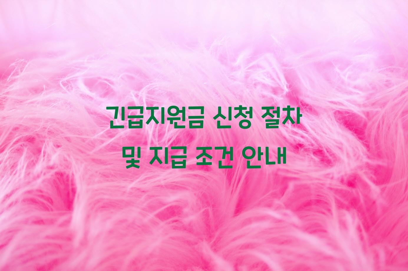 긴급지원금