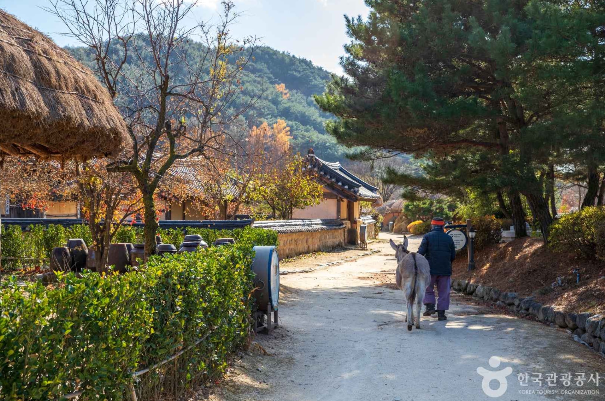 영주-가볼만한곳-영주선비촌