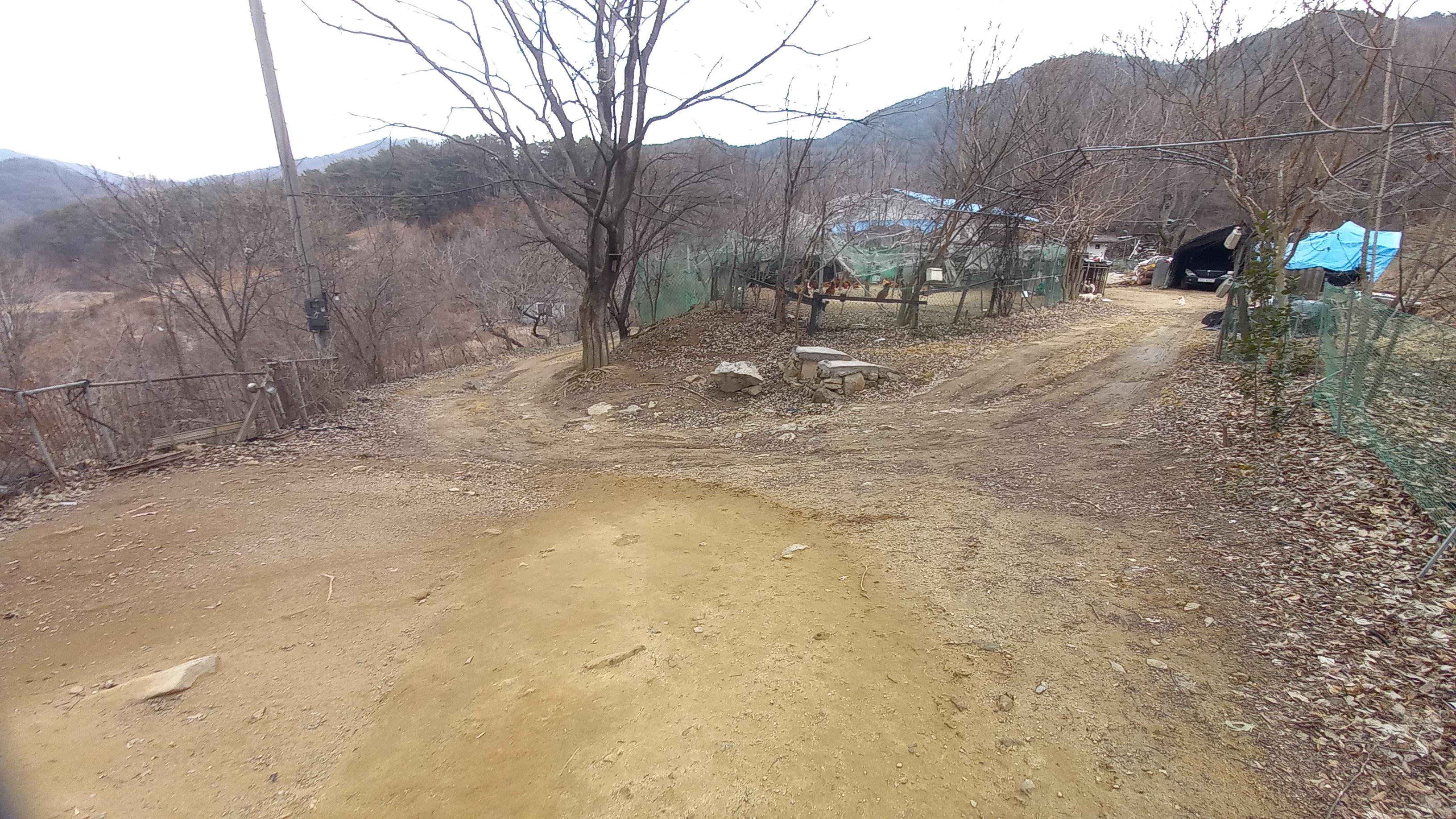 영상일기/20230216/나대자연 23