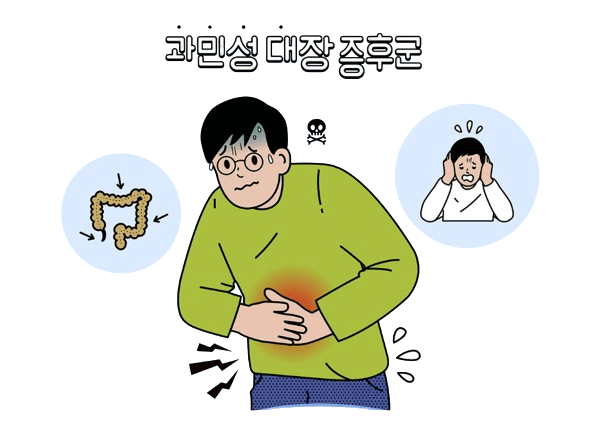 방귀가 많이 나오는 이유