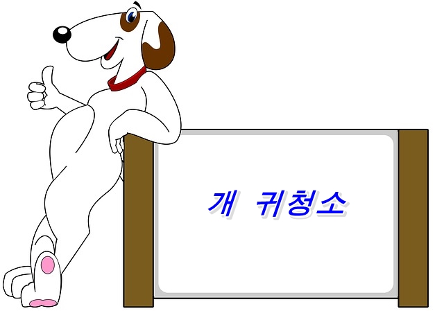  사람의 면봉으로 하지말아야 할  반려견 귀 손질 방법