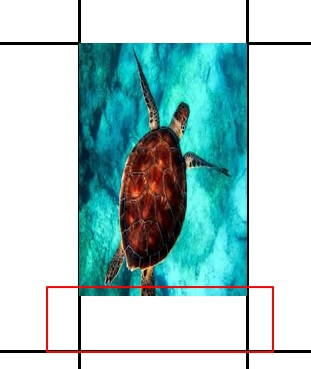 엑셀 사진 삽입 쉽게 하는 법