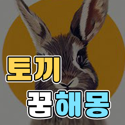 토끼 꿈 해몽/토끼가 나오는 꿈3