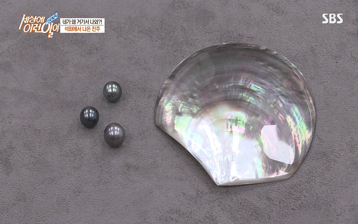 순간포착 세상에 이런일이.E1182.220532p-NEXT.mp4_20220601_171657.494.jpg