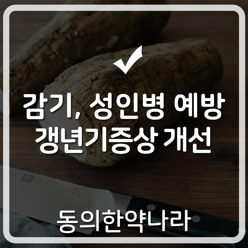 갈근 숙취해소, 감기증상, 성인병예방에 2