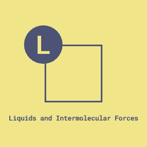 Liquids and Intermolecular Forces