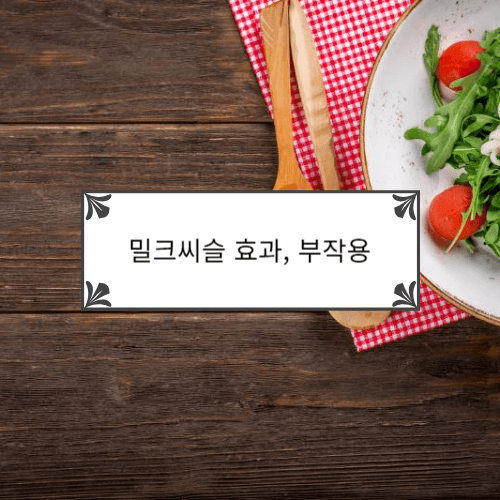 밀크씨슬 효과&#44; 부작용
