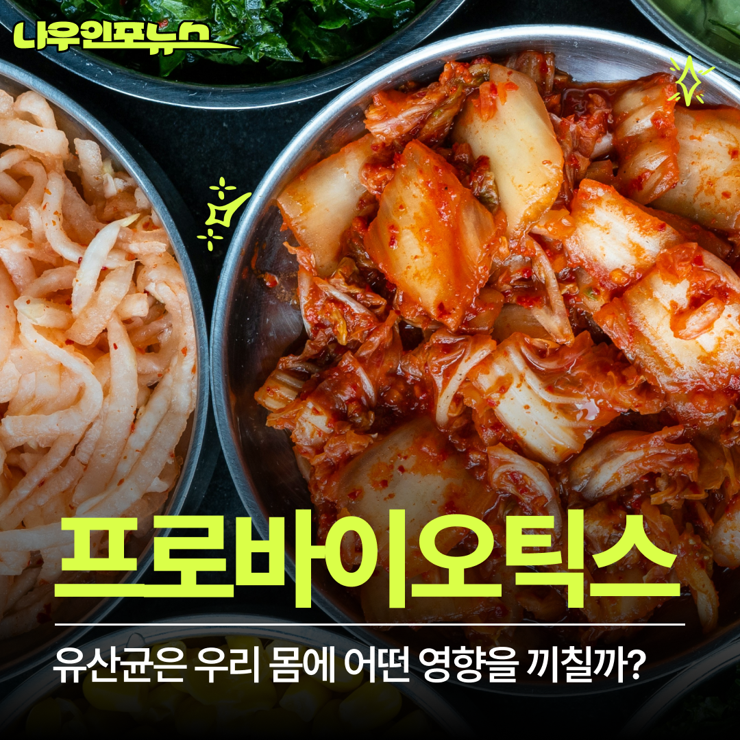 유산균 프로바이오틱스 효능, 부작용