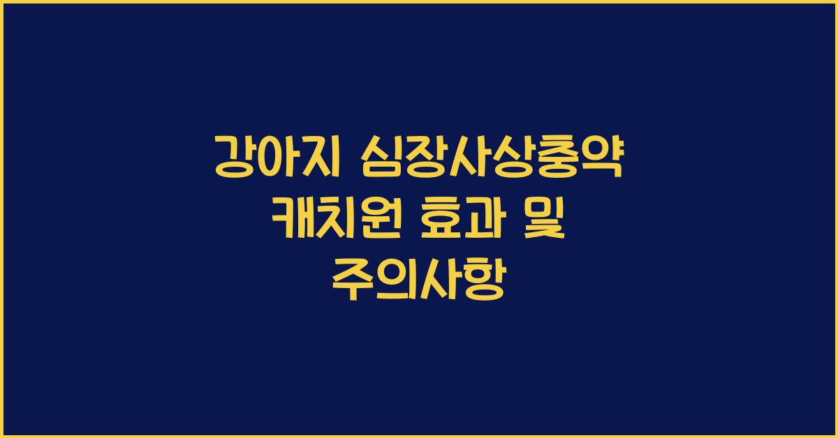 캐치원