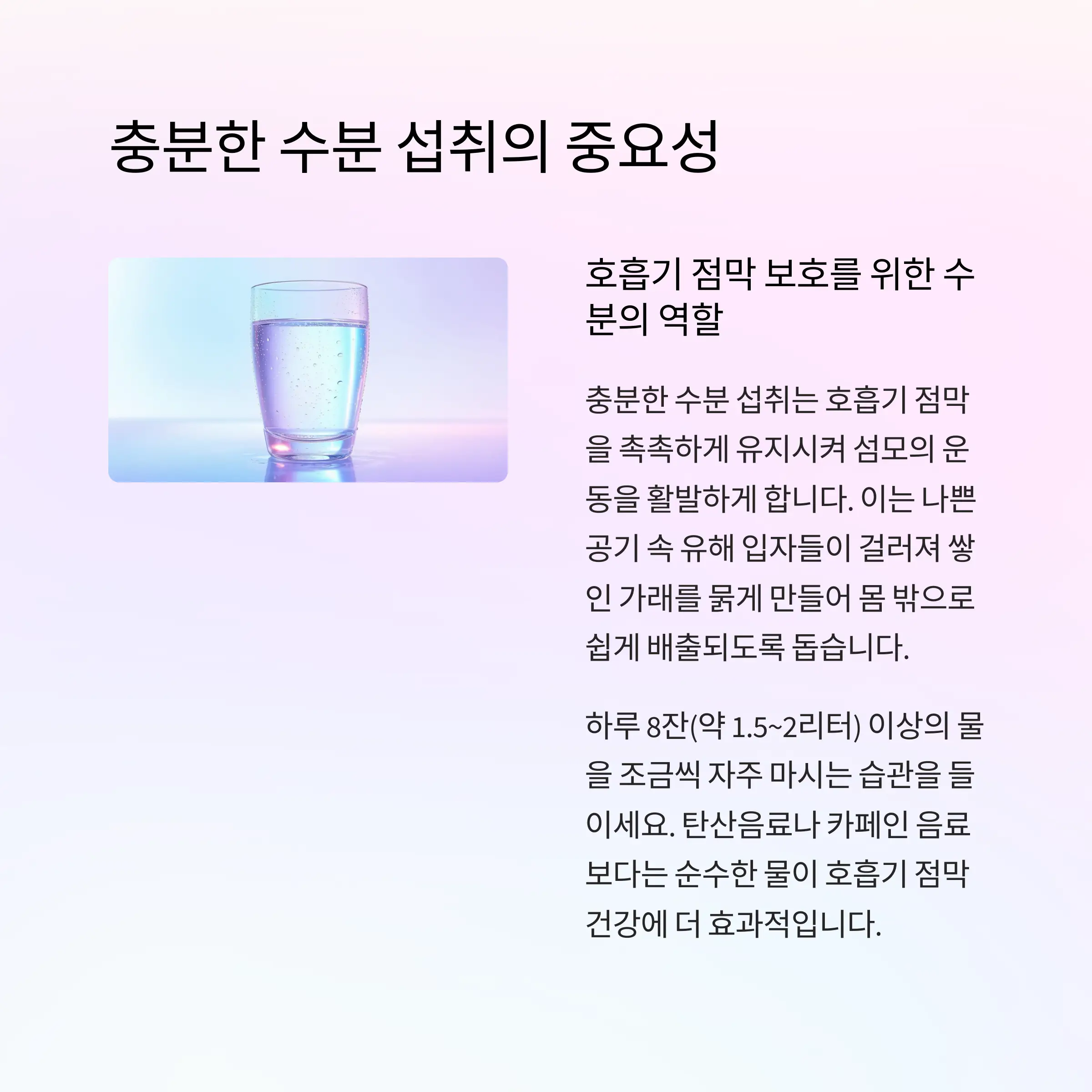 기관지 관리법 정리
