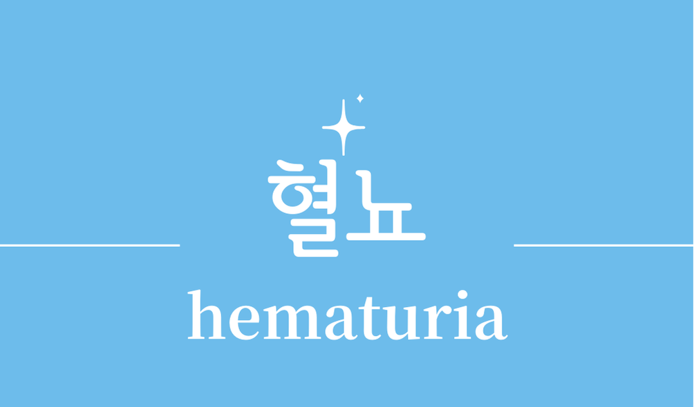 '혈뇨(hematuria)'