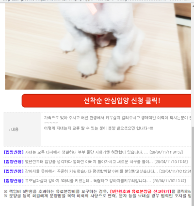 톱 817 강아지 이미지 무료 업데이트 21 시간 전 톱 817 강아지 이미지 무료 업데이트 21 시간 전