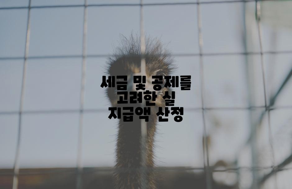 세금 및 공제를 고려한 실 지급액 산정