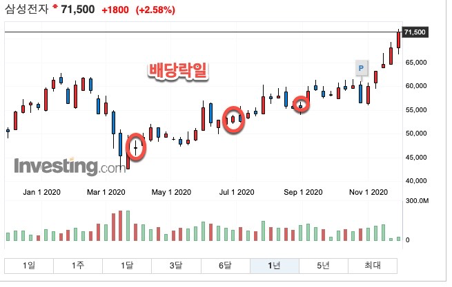  배당주 어떤 종목을 사야할까? 배당주 추천 - 13월의 월급 - 분기배당 - 배당금 높은 주식