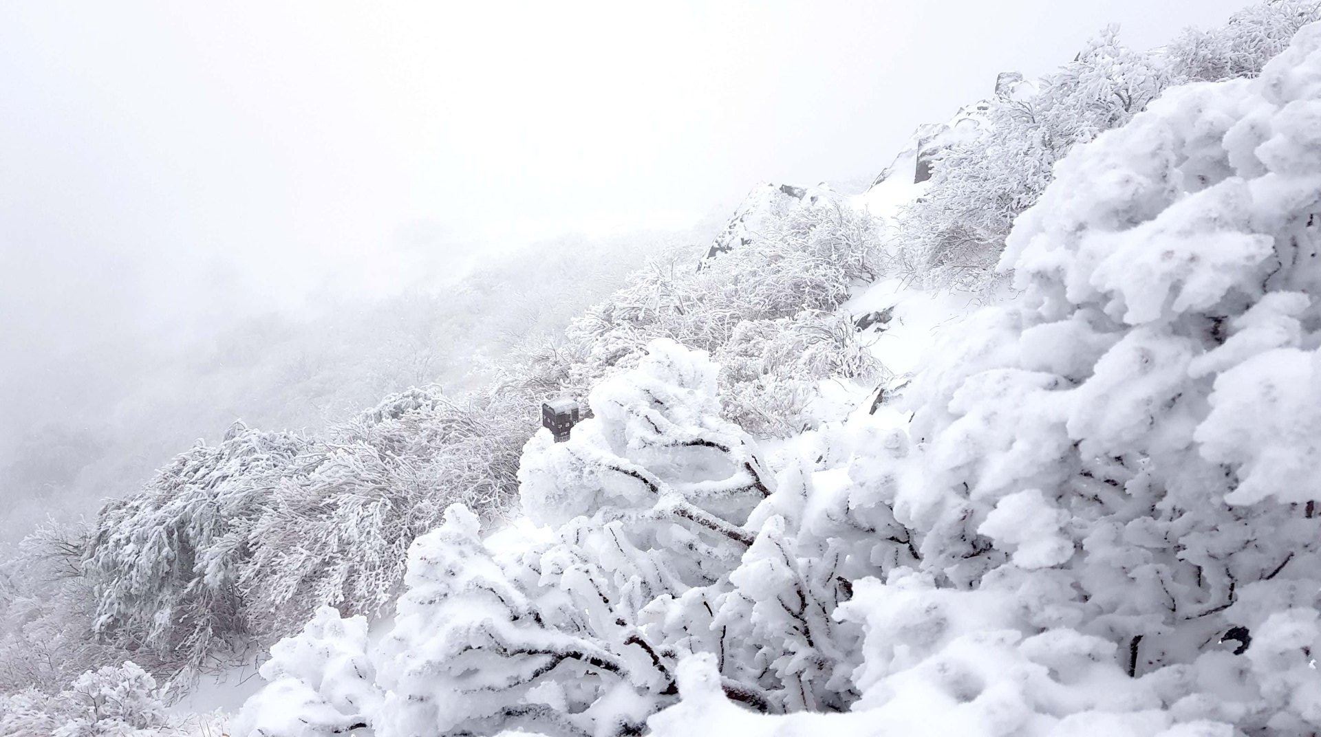 울산 가지산 설경