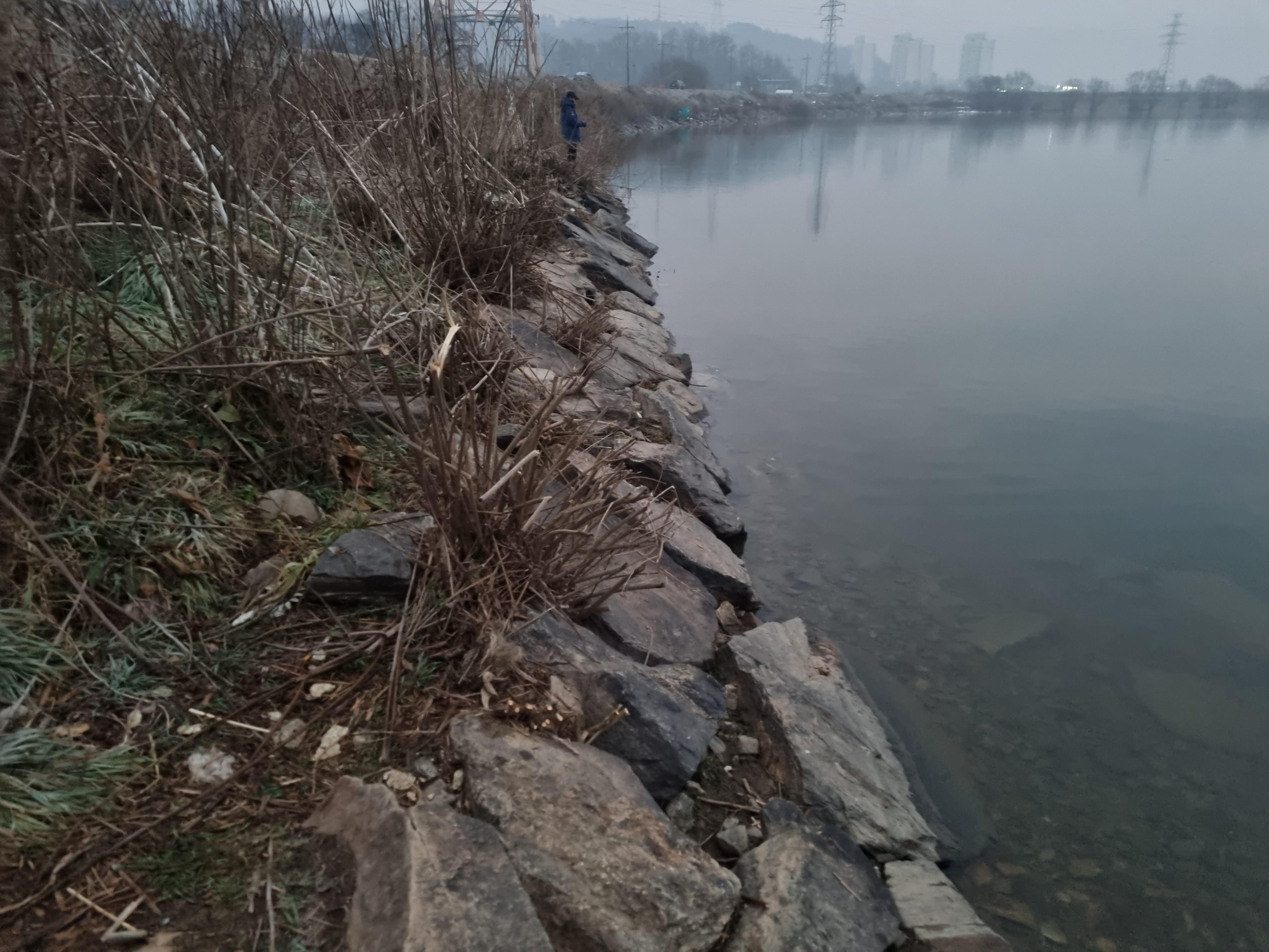 겨울 충남아산 금성수로 배스 낚시