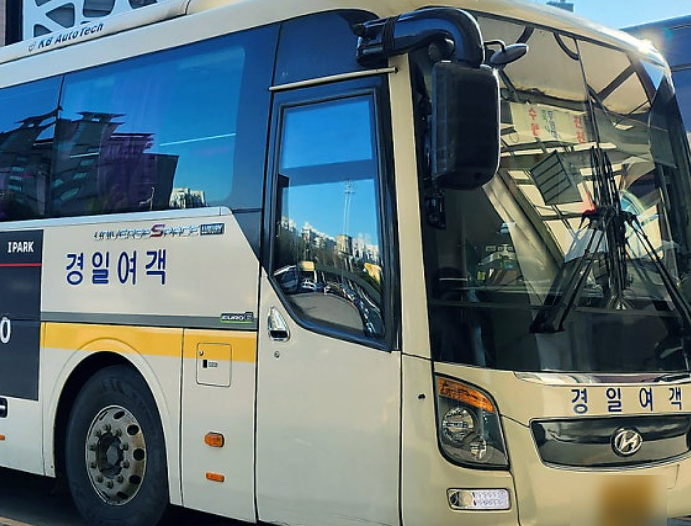 경일여객 시외버스회사 주요 노선, 고객센터 전화번호, 홈페이지, 분실물 찾는 법