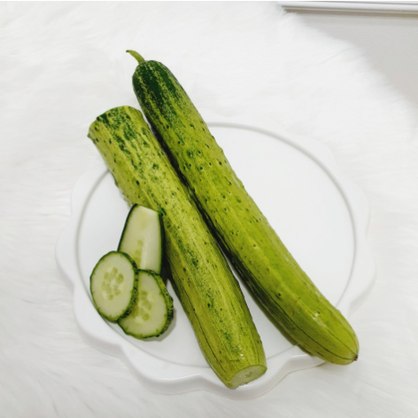 오이의 보관하는 법