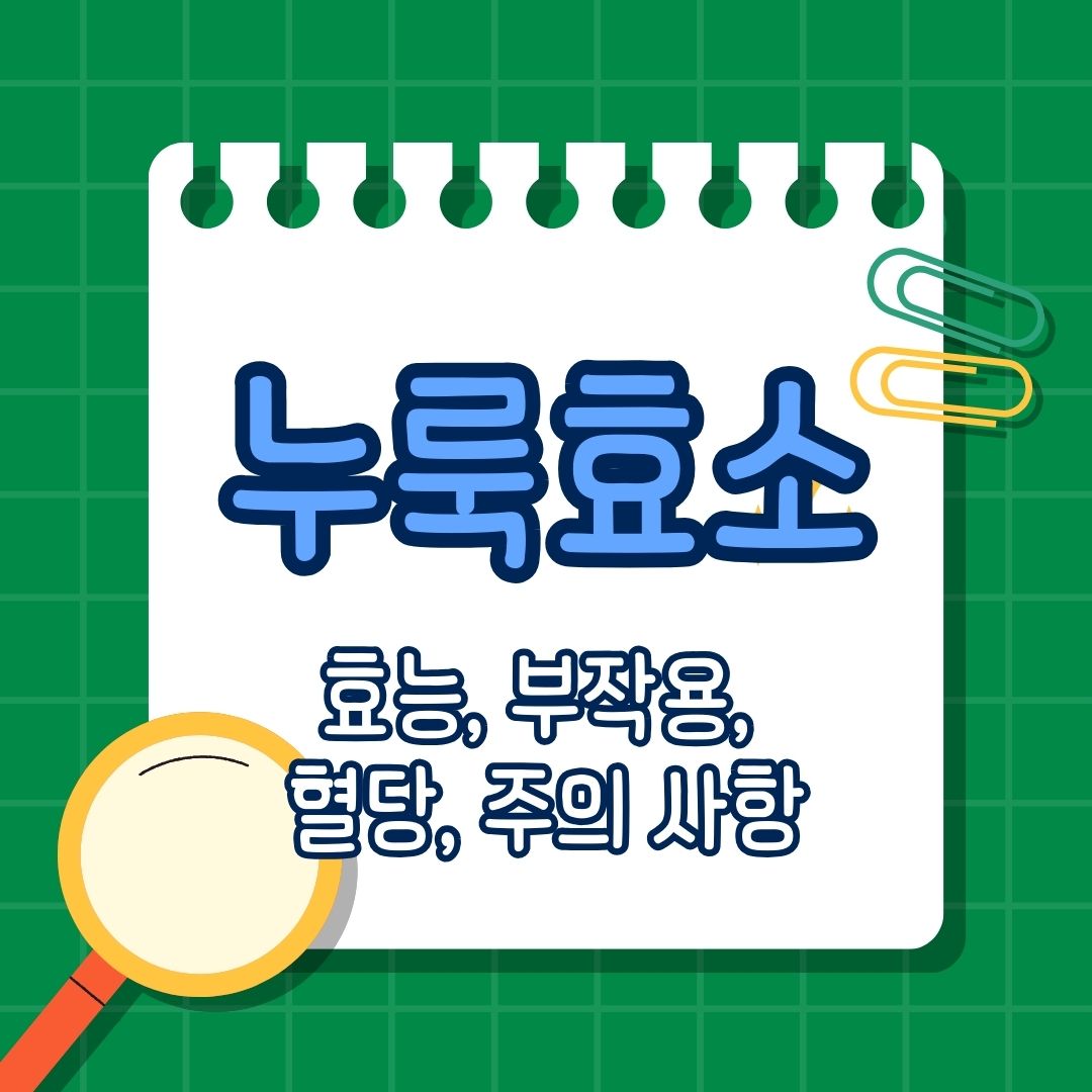 누룩효소 효능, 부작용, 혈당, 다이어트, 주의 사항