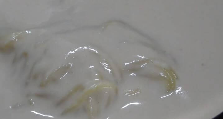 보기만 해도 맛있는 맛