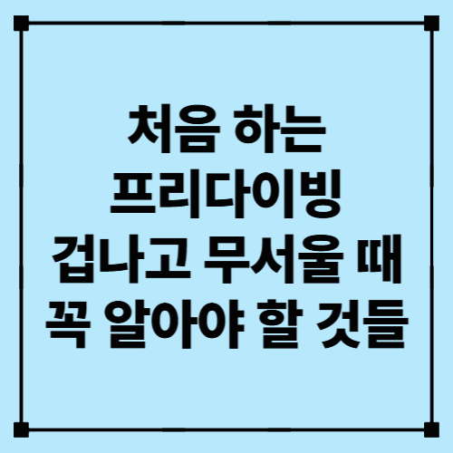 처음 하는 프리다이빙, 겁나고 무서울 때 꼭 알아야 할 것들